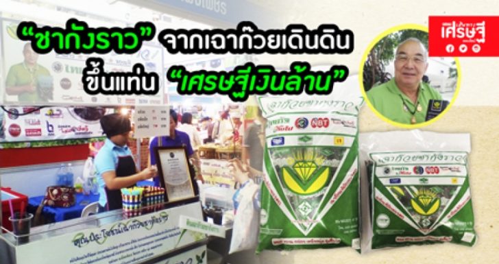 หางาน,สมัครงาน,งาน,“ชากังราว” จากเฉาก๊วยเดินดิน ขึ้นแท่น เศรษฐีเงินล้าน