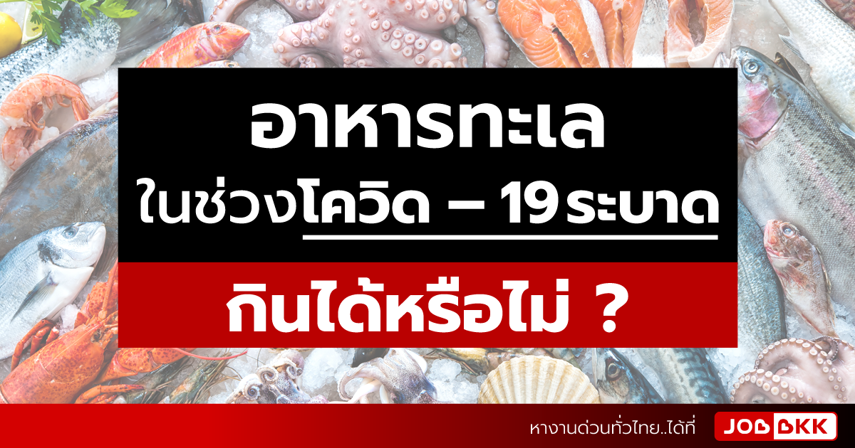 หางาน,สมัครงาน,งาน,อาหารทะเล ในช่วงโควิด – 19 ระบาด กินได้หรือไม่ 